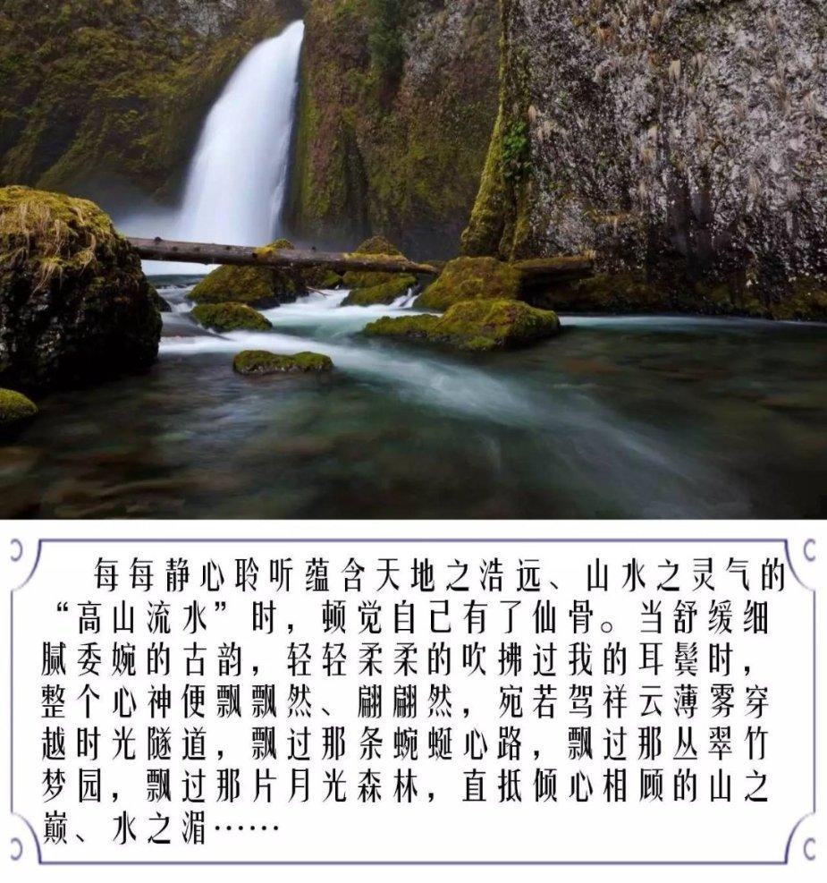 海盗寻宝记选关版